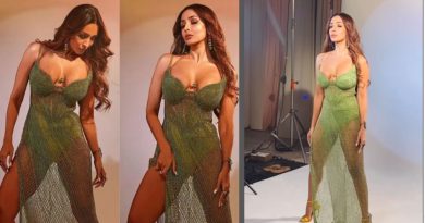 Malaika Arora poses in a net dress, trolls say, '…this is called inflation'