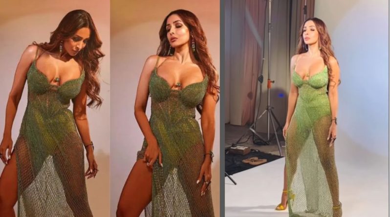 Malaika Arora poses in a net dress, trolls say, '…this is called inflation'