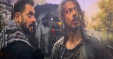 शाहरुख ने दिल खोलकर की सलमान खान के कैमियो की तारीफ, फिल्म की सक्सेस के लिए भाईजान को कहा थैंक्यू