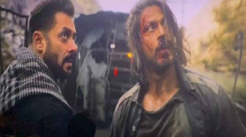 शाहरुख ने दिल खोलकर की सलमान खान के कैमियो की तारीफ, फिल्म की सक्सेस के लिए भाईजान को कहा थैंक्यू