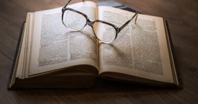 How the Irish ‘spice bag’ became worthy of inclusion in the Oxford English Dictionary