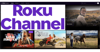 Roku Channel web browser