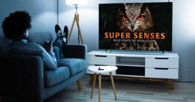 Bored with TV? Try feeding your brain with a lifetime supply of documentaries
