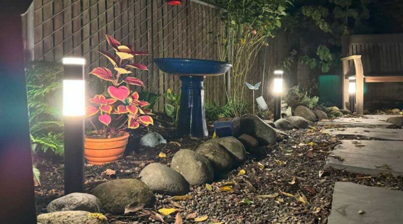 Eufy Outdoor Pathway Lights E10 review: Walk this way