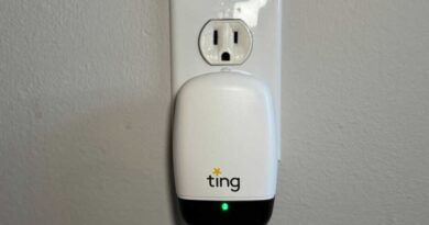 Ting Sensor with Fire Prevention Service review: Forewarned is forearmed
