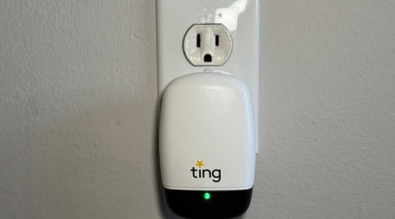 Ting Sensor with Fire Prevention Service review: Forewarned is forearmed