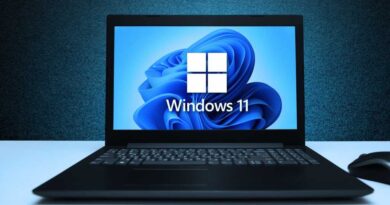 Windows 11