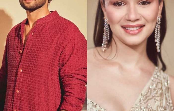 Siddhant Chaturvedi and Sara Tendulkar Relationship Rumors