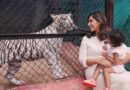 Tigress gets Klin Kaara name