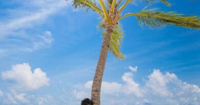 Varun Tej and Lavanya beach side vibes appeals