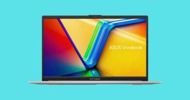 Asus Vivobook Go