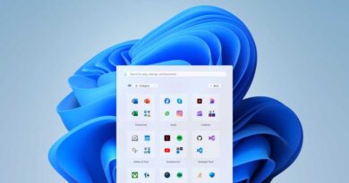 Windows 11 start category view