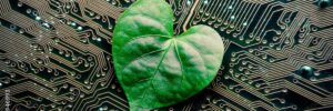 Google slams claims it’s ‘misleading’ the public with its GHG emissions data