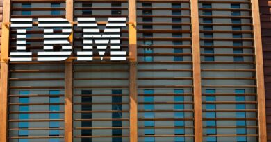 IBM chief confident AI isn’t eroding other parts of the business