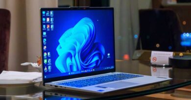 Windows 11
