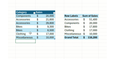 Microsoft Excel pivot table