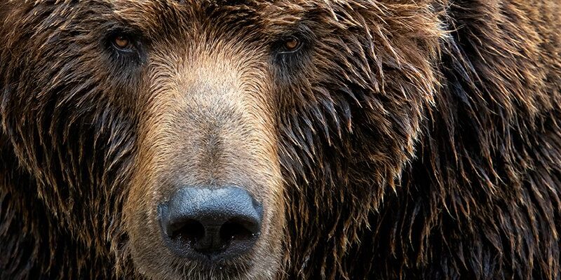 NCSC exposes Fancy Bear's Authentic Antics malware attacks