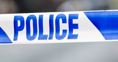 Predictive analytics in policing: Weighing up the pros and cons