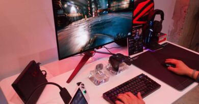 Asus ROG Ally with XG dock playing PC games