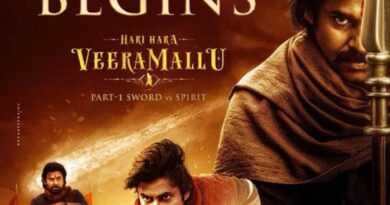 Mistakes that could have been avoided in Hari Hara Veera Mallu