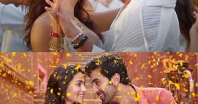 Team Behind Brahmastra Chartbuster Working For Romantic Song In War 2