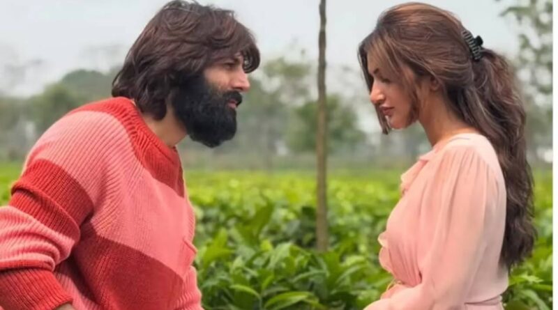 Kartik Aaryan, Sreeleela project title announcement soon