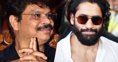 Naga Chaitanya and Boyapati Srinu Potential Collaboration
