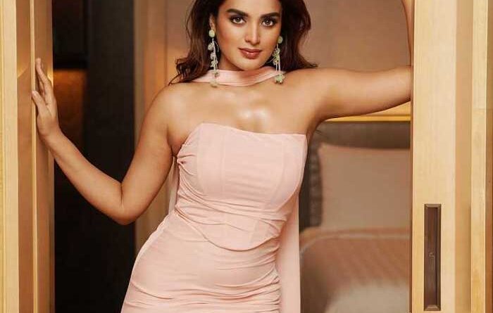 Nidhhi Agerwal gets shock from fan