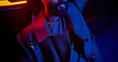 Vijay Deverakonda Declined Don 3 Offer