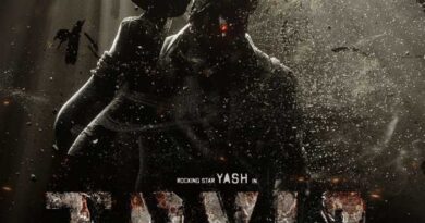 Actors To Perform Original Stunts In Yash Toxic