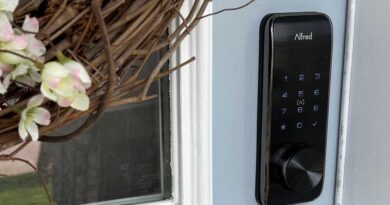 Afred DB2S smart lock