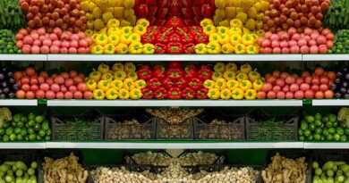 Attacker could defeat Dell firmware flaws with a vegetable
