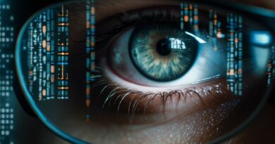 European digital sovereignty: Storage, surveillance concerns to overcome