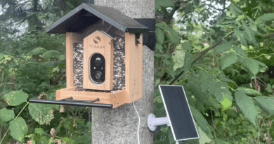 TT Nature Bird Feeder 1