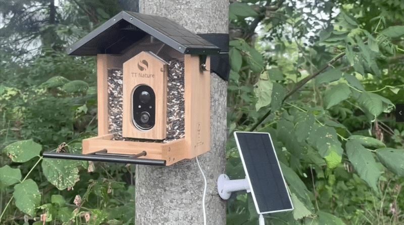 TT Nature Bird Feeder 1