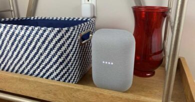 Google Nest Audio on shelf
