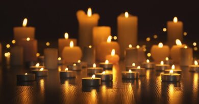 Obituary: Dame Stephanie ‘Steve’ Shirley, founder, entrepreneur and philanthropist