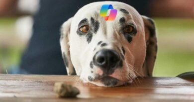 Copilot dog begging