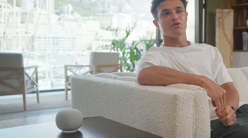 New Google smart speaker