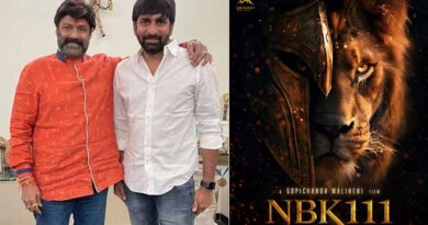 Gopichand Malineni Epic Story for Balakrishna