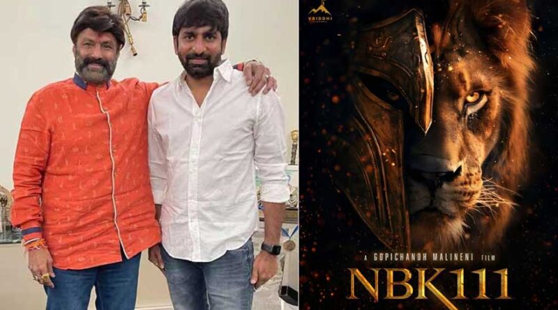 Gopichand Malineni Epic Story for Balakrishna
