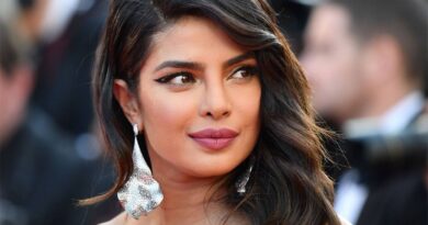 Priyanka Chopra Potential Bollywood Return With Much Anticipated Project