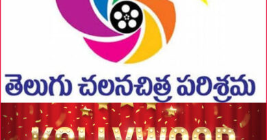 Stripes cannot turn Kollywood Cat into Tollywood Tiger