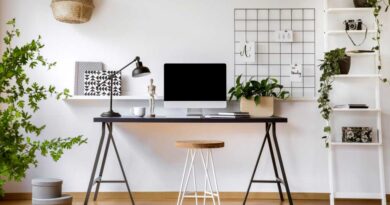 Clean home office desk workstation setup with lots of plants around