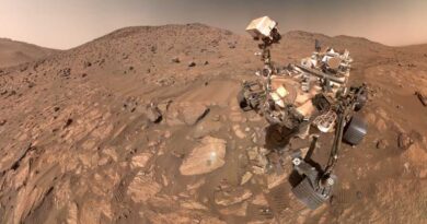 NASA rover Perseverance on Mars discovering potential biosignature
