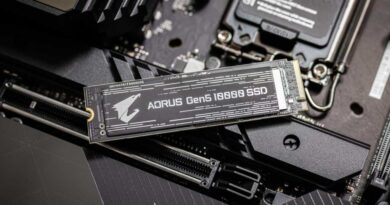 Aorus Gen5 10000 PCIe SSD
