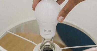 Hue Essential A19