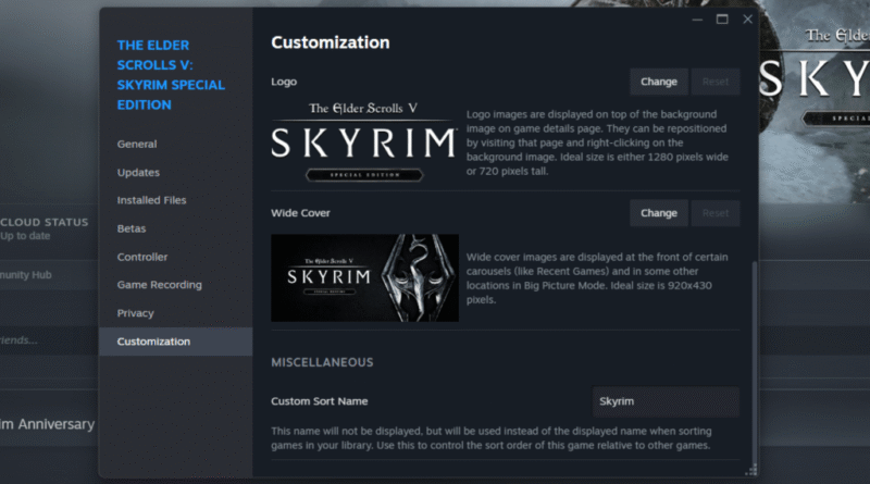 Steam Skyrim customization tab
