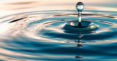TechUK report on datacentre water usage habits criticised