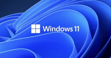 Windows 11 logo